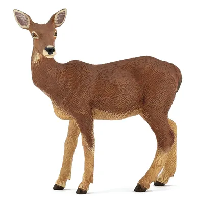 Obrázek produktu pro Papo Doe, 3 rok/roky, Wild animal kingdom, Hnědá, PVC