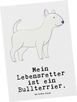 Produktbild von Mr. & Mrs. Panda Ansichtskarte Bullterrier Lebensretter - Weiß - Geschenk, Grußkarte, Postkarten, Ansichtskarten, Postkarte, Fotokarte