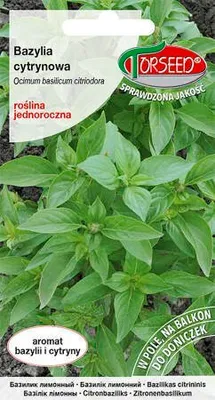 Produktbild von Samen von Zitronenbasilikum, Ocinum basilicum citriodora 0,1g - Torseed