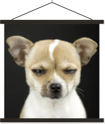 Produktbild von MuchoWow® Textilposter Hund - Haustiere - Porträt 60x60 cm mit schwarzem Rahmen - Posteraufhänger