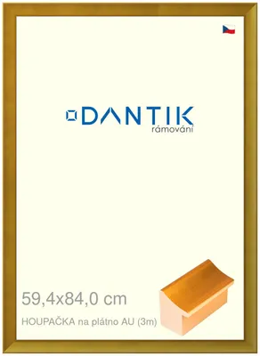 Obrázek produktu pro DANTIK rámeček 59,4x84 | HOUPAČKA na plátno AU (Plexi Čiré)