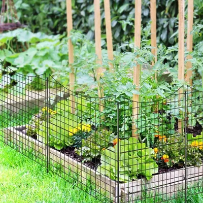 Produktbild von Metall-Gartenzaunelemente, 5er-Pack, 98 cm hoch, schwarz