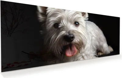 Produktbild von Glasbild 150x60cm in XXL für Wohnzimmer, Schlafzimmer Motiv Weisser Hund