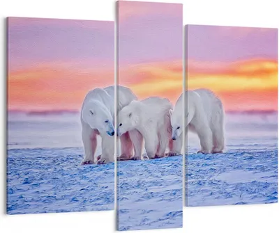 Produktbild von Bild auf Leinwand - Leinwandbild - Bären Winter Schnee Familie - 95x80cm - Wand Bild - Wanddeko - Leinwanddruck - Bilder - Kunstdruck - Wanddekoration - Leinwand bilder - Wandkunst - CB95x80-2836