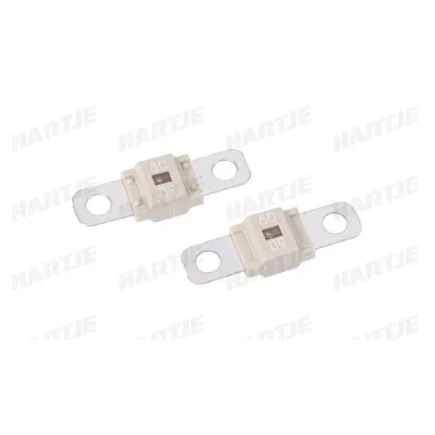 Image de Dresselhaus Fusible Midi 80A avec vis / blanc