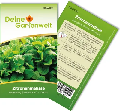 Zitronenmelisse  Samen - Melissa officinalis - Zitronenmelissesamen - Kräutersamen - Saatgut für 150 Pflanzen