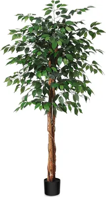 Obrázok produktu pre Umelá rastlina fikus 150 cm vysoký - umelý, kmeň z prírodného dreva, kancelária, dom, vnútorné a vonkajšie dekorácie