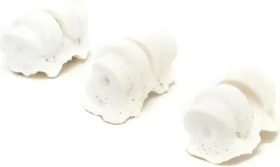Productafbeelding van Hondensnack Gloria, knabbelstokje, met calcium