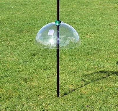 Eichhörnchen-Schutz 40 cm, transparent, für Vogelhäuschen