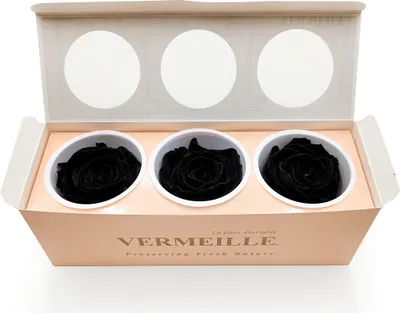 Produktbild von Stabilisierte Rose - Schwarz - XL - 3 Stk