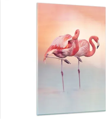 Produktbild von Bilder auf glas - Einteilig - Flamingos Exotik Vögel - 80x120cm - Glasbilder - Wandbilder - Bilder - zum Aufhängen bereit - Wanddekoration aus Glas - Glas Bilder - Wandbild auf Glas - GPA80x120-5044