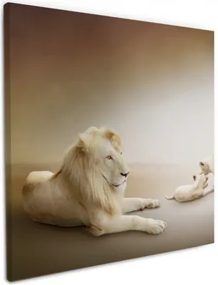 Produktbild von Wallario Premium Leinwandbild Löwenfamilie mit Jungtieren in Größe 50 x 50 cm