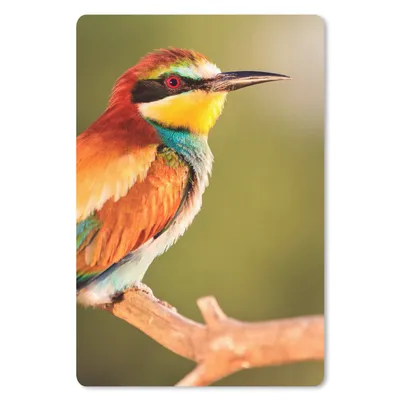Produktbild von MuchoWow® Mauspad Mousepad Vögel - Bienenfresser - Regenbogen - Tiere 40x60 cm - Mousepads - Maus Mat - Pad - Mausunterlage - Schreibtisch Accesoire