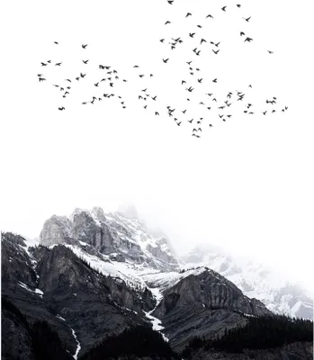 Produktbild von Tadessi Fototapete | Berge | 2.00 m x 2.80 m | Schwarz | Weiß | Wandbild | Digitaldruck