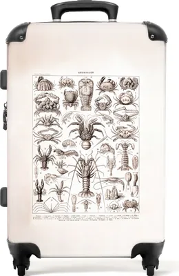 Obrázek produktu pro NoBoringSuitcases.com® Velký kufr - Vintage - Humr - Mořská zvířata - Ilustrace - Umění - Kombinovaný zámek TSA - Pevná skořepina na kolečkách - 72 litrů - Cestovní kufr - 66 cmKufr střední 67x43x25 cm, 72L,