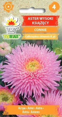 Obrázok produktu pre Vysoká princezná aster CONNIE ružová Semená 436 Toraf