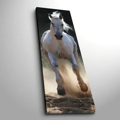 Produktbild von Wallity, 3090C- HRZ1274, Bunt, Leinwandbilder, 30 x 90 cm, 100% Wildleder -Leinwand