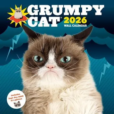 Obrázek produktu pro Nástěnný kalendář Grumpy Cat 2026