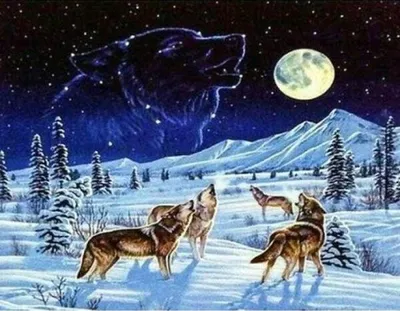 Produktbild von Norimpex Diamant-Gemä lde Wolfsrudel 30x40cm