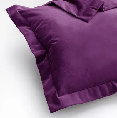 Produktbild von Kissenhülle Kissenbezug 2er Set 50x70 cm Pflaume Dekokissen Samt Wohnzimmer Side