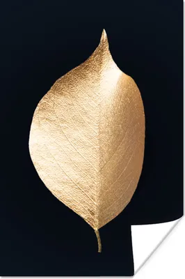 Produktbild von MuchoWow® Poster Blätter - Gold - Schwarz - Pflanzen - Luxus 40x60 cm - Plakate für die Wand - Poster Babyzimmer