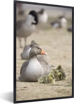 Produktbild von MuchoWow® MuchoWow® Gerahmtes Poster Gans - Familie - Küken 60x90 cm - Poster mit zchwarzem Bilderrahmen - Kunst