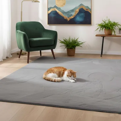 Produktbild von Teppich Wohnzimmer Schlafzimmer Flauschig, kurzflorig – waschbar und Fußbodenheizung geeignet