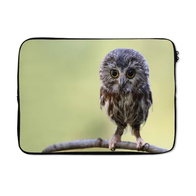 Produktbild von MuchoWow® Laptop Hülle 13 Zoll Eule - Vogel - Wald Laptoptasche - Laptophülle - Sleeve - Rundumschutz