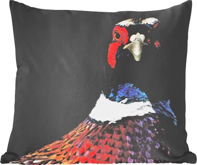 Produktbild von MuchoWow® Zierkissen Sofakissen Wohnzimmer Dekokissen 45x45 cm Fasan - Porträt - Tiere - Schlafpolster - Polster für das Sofa