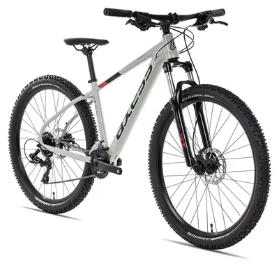 Produktbild von Axess BRASH leichtes Hardtail Mountainbike 29 Zoll Hellgrau 19 Zoll