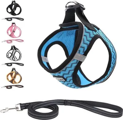 Produktbild von Famanu Hundegeschirr Anti-Zieh-Geschirr Reflektierend für kleine Hunde und Katzen - Blau, Größe S