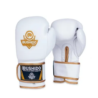 Image de Gants de boxe DBX BUSHIDO DBD-B-2 12 oz.
