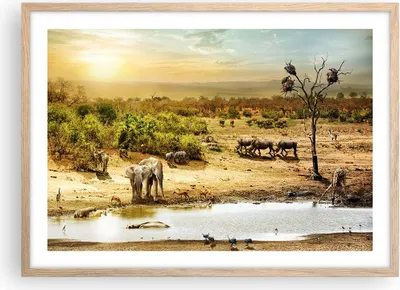 Produktbild von Gerahmtes Poster - Rahmen in heller Eiche - Safari Tiere - 70x50 cm - Wand Bild - Wanddeko - Wandbilder - Kunstposter - Wandposter - Bilderrahmen - Bilder - Kunstdruck - Wandbild - P2NAA70x50-3880