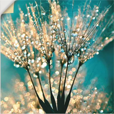 Produktbild von ARTland Wandbild, selbstklebend Pusteblume Schirmchen abstrakt Größe: 40x40 cm