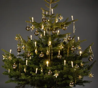 Produktbild von 24 LED Weihnachtskerzen mit Stecksystem Fußschalter für Innenbereich inkl. Sternspitze TRANGO