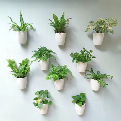 Immagine prodotto di Vasi da parete autoirriganti per piante, set da 10 pezzi, bianco