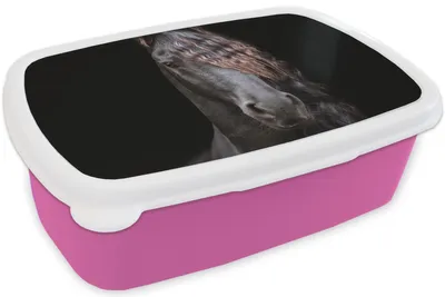 Produktbild von KitchenYeah® Lunchbox Brotzeit Brotdose 17x11 cm Pferde - Friesisch - Mähne - Schwarz - Tiere Kinder Brotzeitdose - Lunchpaket - Brotkasten  - Sandwich Box