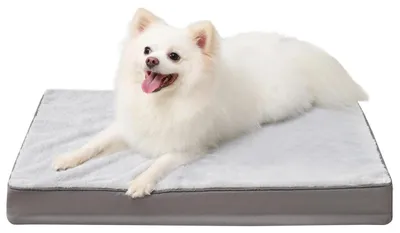 Immagine prodotto di Cuccia ortopedica per cani, lavabile, grigia, 58x43x7 cm, imbottitura in memory foam