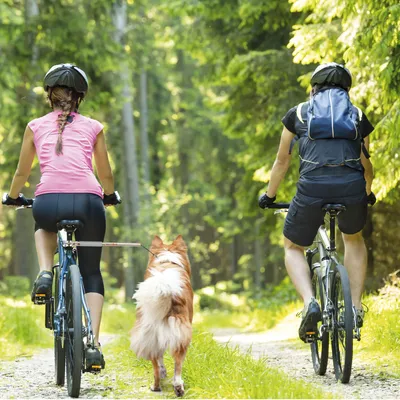 Produktbild von Walky-Dog Plus die dritte Hand am Fahrrad Fahrradhalter für den Hund