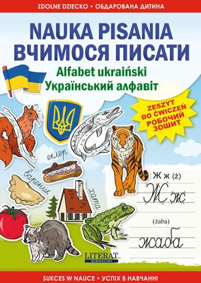 Produktbild von Nauka pisania Alfabet ukraiński Вчимося писати. Український алфавіт