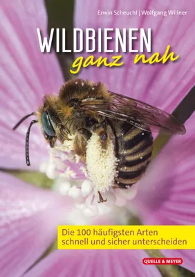 Produktbild von Wildbienen ganz nah