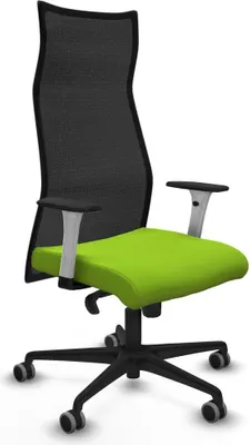 Produktbild von Bürostuhl Piqueras y Crespo B1B036G Pistazienfarben