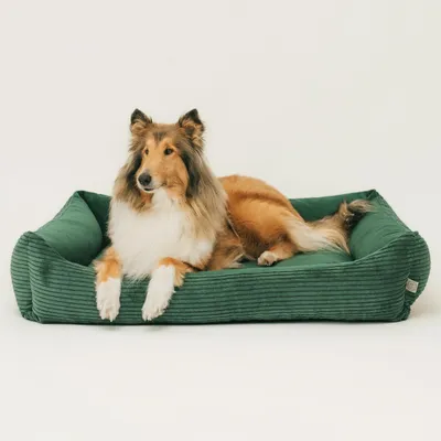 Produktbild von 4L Textil MOLLY Kuscheliges Cord Hundebett große Hunde Hundekorb Cord Hundekissen flauschig Hundekörbchen Cord (120x100 cm, Grün)