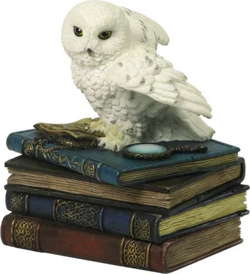 Produktbild von Veronese Schmuckbox Schneeeule sitzt auf Büchern
