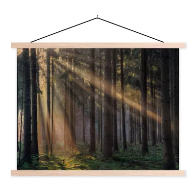 Produktbild von MuchoWow® Textilposter Bäume - Wald - Sonne - Pflanzen 60x45 cm mit holzfarbenen Rahmen - Bild