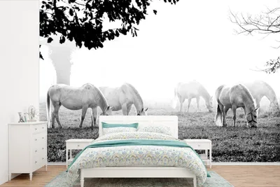 Produktbild von MuchoWow® Fototapete für Wohnzimmer oder Schlafzimmer Wandtapete Vinyl Motivtapete Lipizzanerpferde auf der Wiese (schwarz-weiß) - schwarz-weiß - 330x220 cm - Fototapeten