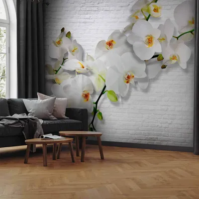 Produktbild von Selbstklebende Folie Fototapete - The Urban Orchid 98x70 cm Blumen b-A-0089-a-b