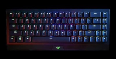 Image de Razer BlackWidow V3 Mini HyperSpeed Clavier USB + RF sans fil + Bluetooth Noir (RZ03-03890100-R3M1)