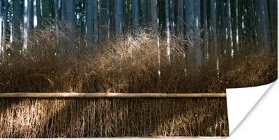 Produktbild von MuchoWow® Poster Arashiyama-Bambusbäume in einem Wald Japan 160x80 cm - Foto Poster