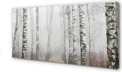 Produktbild von Leinwandbild 100x50 Wandkunst Nebel Birke